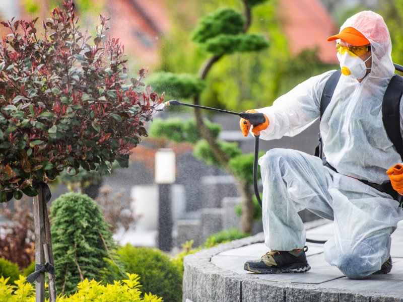 Çeltik Haşere İlaçlama